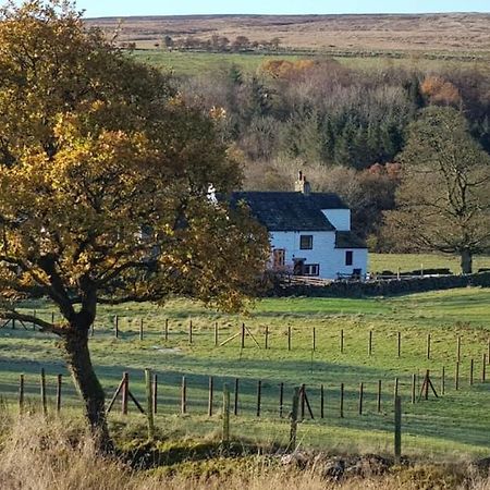 Lower Turnerford Farmhouse Newby  Eksteriør billede