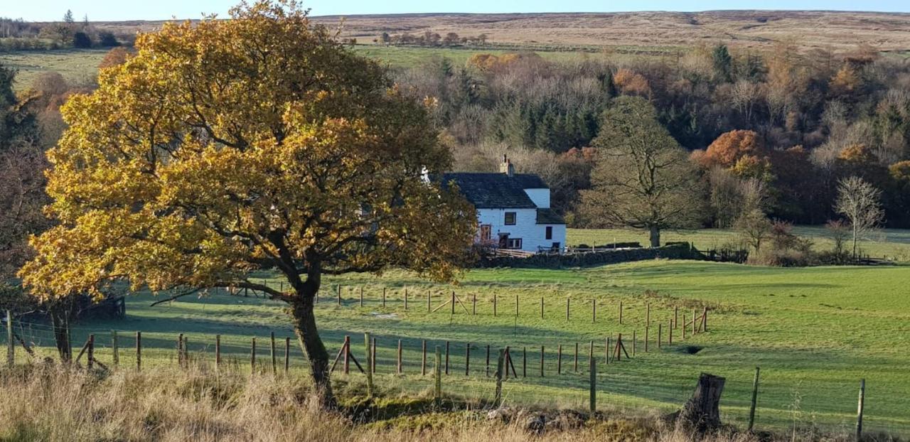 Lower Turnerford Farmhouse Newby  Eksteriør billede